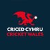 Cardiff & Vale ๐Development Officer (@cricketwalesdev) Twitter profile photo Cardiff & Vale ๐Development Officer (@cricketwalesdev) Twitter profile photo