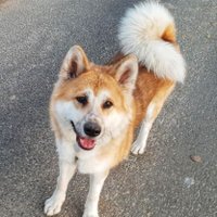 Voltyria (@voltyria) 's Twitter Profile Photo Voltyria (@voltyria) 's Twitter Profile Photo