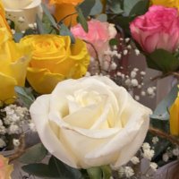 very good person (@omabood96083268) Twitter profile photo