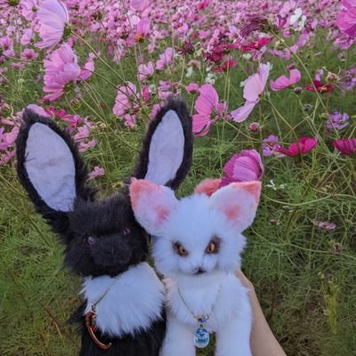 今日も今日とて、ゆるっとフワッと生きてます。ふわふわ、幻獣、アートドール、ぬい、テディベア、などなど大好きです╰(⸝⸝⸝´꒳`⸝⸝⸝)╯ ゆるっとフワッと、ぬい撮りなどなどをあげていきたいなぁ、と思います。ぬい撮りもTwitterも初心者なので無礼がありましたらゴメンなさい💦無言フォロー無言♥失礼します_(._.)_
