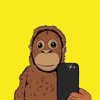-MAUI- (jordy) (@cameronkloo20) 's Twitter Profile