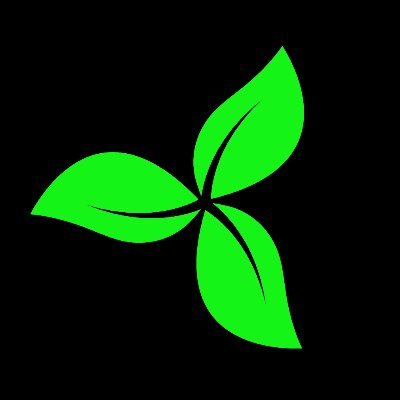 arborfinance Profile Picture