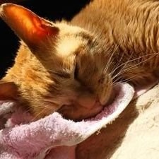 あいかきさんのプロフィール画像