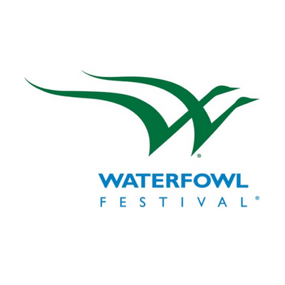 Celebrate the Culture and Customs of the Eastern Shore at the Waterfowl Festival! Doing it right for the 50th on November 11-13, 2022.