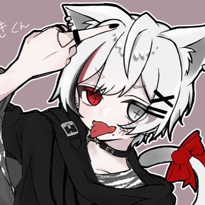 猫秋✝️🐾さんのプロフィール画像