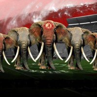 Marty4bama (@marty4bama) 's Twitter Profile