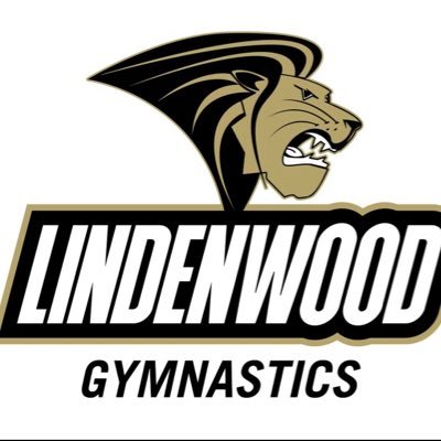 LionsGymnastics Profile Picture