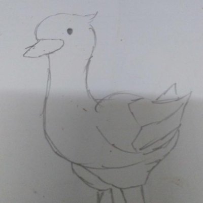 DuckDoodles