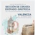 Reunión Nacional ESOFAGOGASTRICA AEC VALENCIA 2023 (@ceg_valencia_23) Twitter profile photo Reunión Nacional ESOFAGOGASTRICA AEC VALENCIA 2023 (@ceg_valencia_23) Twitter profile photo