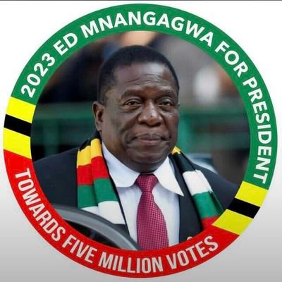 ZANU pf supporter