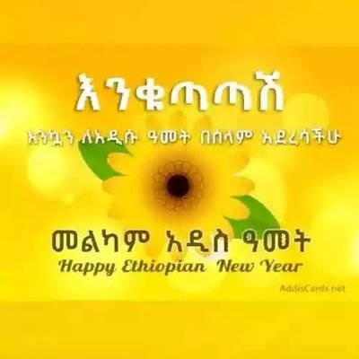 teg34392362's profile picture. Ethiopian