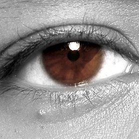 PlaneadorPro's profile picture. Fighter Pilot