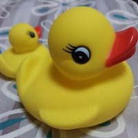 ナファ (@nafa_duck) 's Twitter Profile