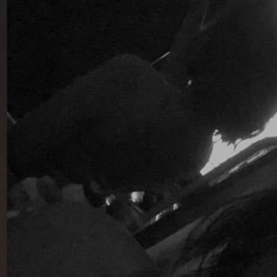 _atyz's profile picture. 