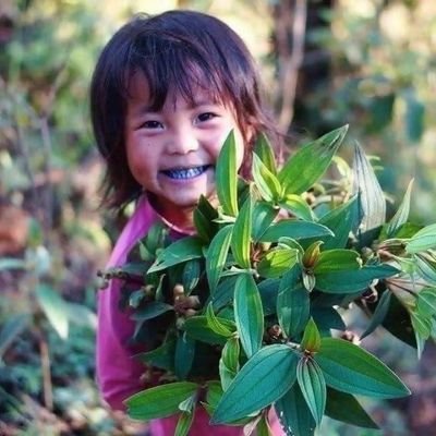 phaminastemo's profile picture. 