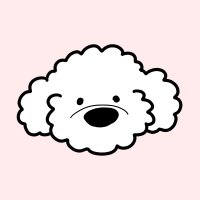 もこもこ|HSPを抱きしめる白いわんこ🐶 (@mokomoko_hsp) 's Twitter Profile