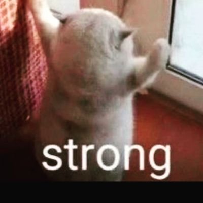 TheChiragSoman1's profile picture. Fortis Fortuna Adiuvat