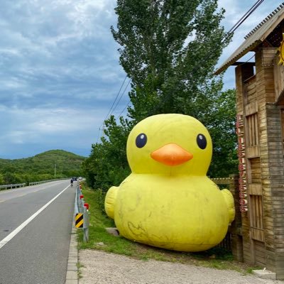 kejak's profile picture. Avid fan of haw flakes.