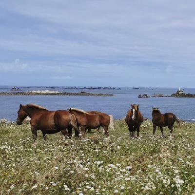 Là pour prendre la température et le sens du vent.