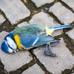 zeitinfarkt's profile picture. Entrepreneur, Innovator ¯\_(ツ)_/¯