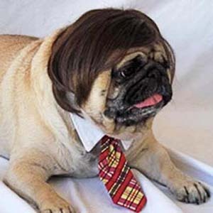 MickJones888's profile picture. I am a technophile. I especially like technologies that can potentially change the world.