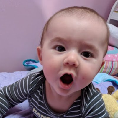 VPalasieski's profile picture. 