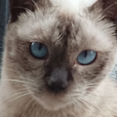 憲法改正は9条だけ変えるわけでもなければ9条だけを変える等もできない、自民党の改憲草案に賛成か反対かだけ
あの改憲草案には9条だけ変えるなんて書いてあったかね?
護憲一択、現憲法を変える必要なし
改憲・創憲・緊急事態条項追加・ワクチン・RCEP・インボイス制度・核シェア・水道事業民営化に反対
早く元の仕様に戻せイーロン