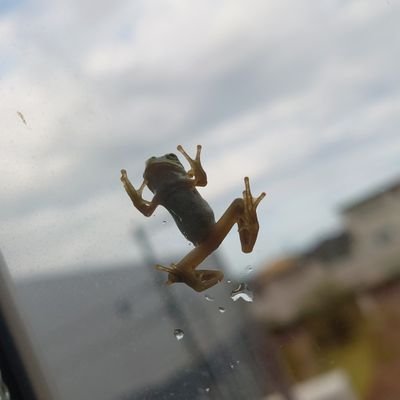 kenichy79's profile picture. 