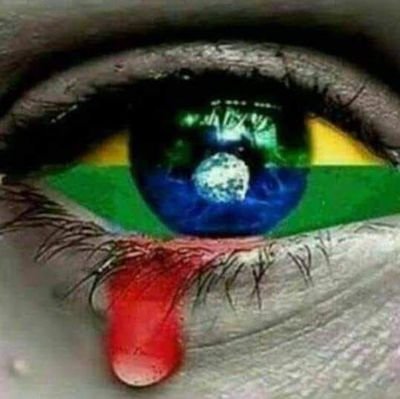 Silvana190566's profile picture. Meu jeito de ser, me faz especial ❤️