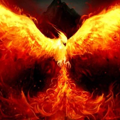 eightman974's profile picture. Love #seo #voyages