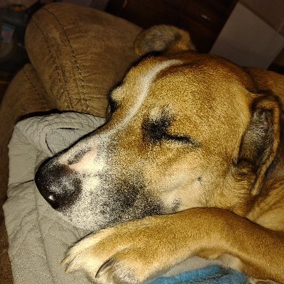 typicalsod's profile picture. USMC, US Const. hardliner, J.D., MAGA, God, Guns, Family, MIND VIRUS WILL DIE, I follow vets, patriots, and sensible people. GOD BLESS TRUMP AND AMERICA