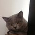 hhhha woo (@woohhhha) Twitter profile photo hhhha woo (@woohhhha) Twitter profile photo