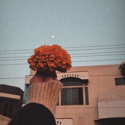 momnaaabc's profile picture. 