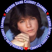 #CherishDavidCassidy(@CherishDavidC) 's Twitter Profileg