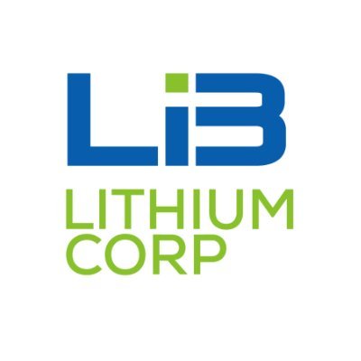 Our focus is to become a major holder of hard rock spodumene lithium assets in Argentina and Africa where we have significant experience and relationships.