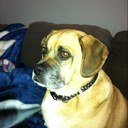 johnathan blake rota - @johnnyrota108 - Twitter