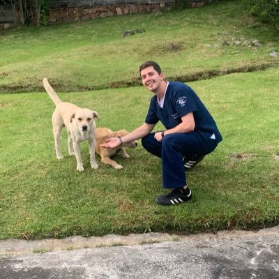 DavidYupanguiO's profile picture. 