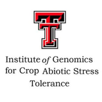 Institute at TTU that will focus on using state of the art functional genomics to study processes involved in the tolerance to different types of abiotic stress