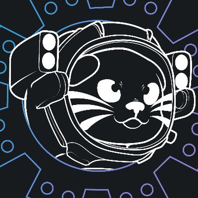 OtterSpaceDev Profile Picture