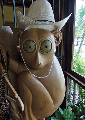 technofuncc's profile picture. Lolo,a curious cat, science and technology geek, handyman, humor-lover, computer and electronics tinkerer, technopreneur.