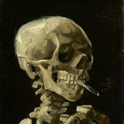 __bahamas__'s profile picture. LiBra