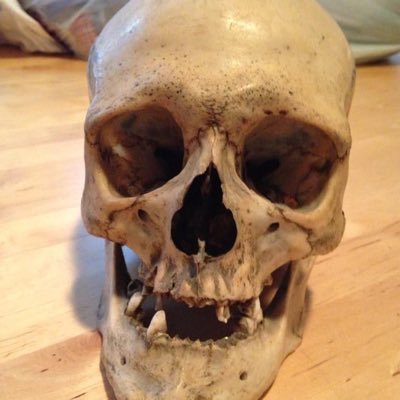 BHaasTSD's profile picture. Father, husband, teacher, martial artist, 50+ year old punk rocker. Tweets about politics, mental health, atheism and West Ham United. COYI! #ratverified