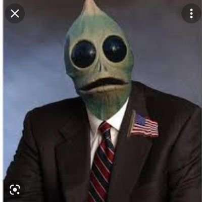 INTJ non-vaxxed pure blood, master fisherman, poker bro, spiritual virgo, MAGA conservative, Mandela effected, Tennessee made and K.C. Chiefs fan #GBO