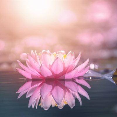Frutillita_10's profile picture. 