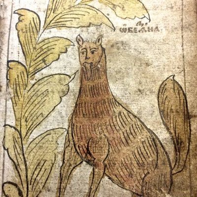 CapivaSevagem's profile picture. Capivara selvagem especialista em procrastinar no sol e em não nadar contra a corrente. Aceite, o tédio é teu amigo e nada te faltará, a menos que falte.