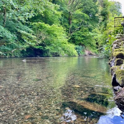 coffeetigerfox's profile picture. Bio.