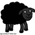 Dr Sheep Person Podge (@noplaceforsheep) Twitter profile photo