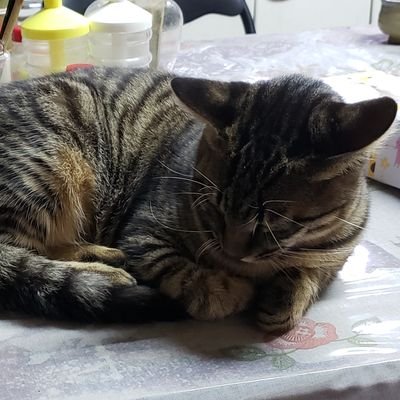 無言フォロー失礼
Vtuberにドはまり中 最推しはトワ様👾
メンシ入り👾⛄🍃🍎🔥🚑
ポケモン/FE/スパロボ/Apex(CS)/龍が如く/Fate/マキオン
トレカを紙でヴァイス/ポケカ/バトスピ/遊戯王/ヴァンガード