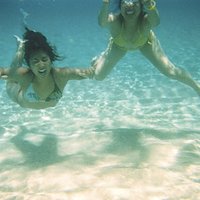 csen (@csen17) 's Twitter Profile