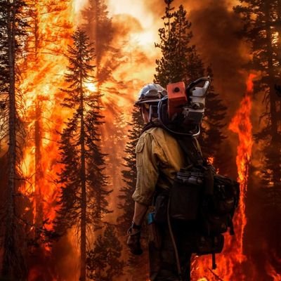 WangerinBrian's profile picture. Sheetmetal Worker Local 104
Crew boss Superintendent